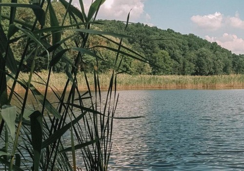 Cel mai important parc național din Moldova